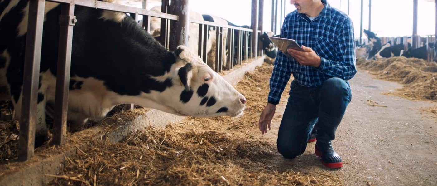 Milkchain emplea tecnología de última generación y pone el resultado a disposición del consumidor.