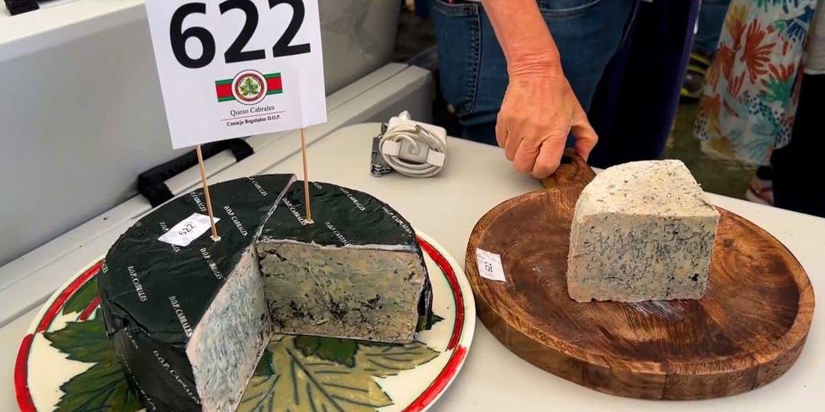 queso cabrales mundo La pieza de queso Cabrales subastada superaba ligeramente los dos kilos.
