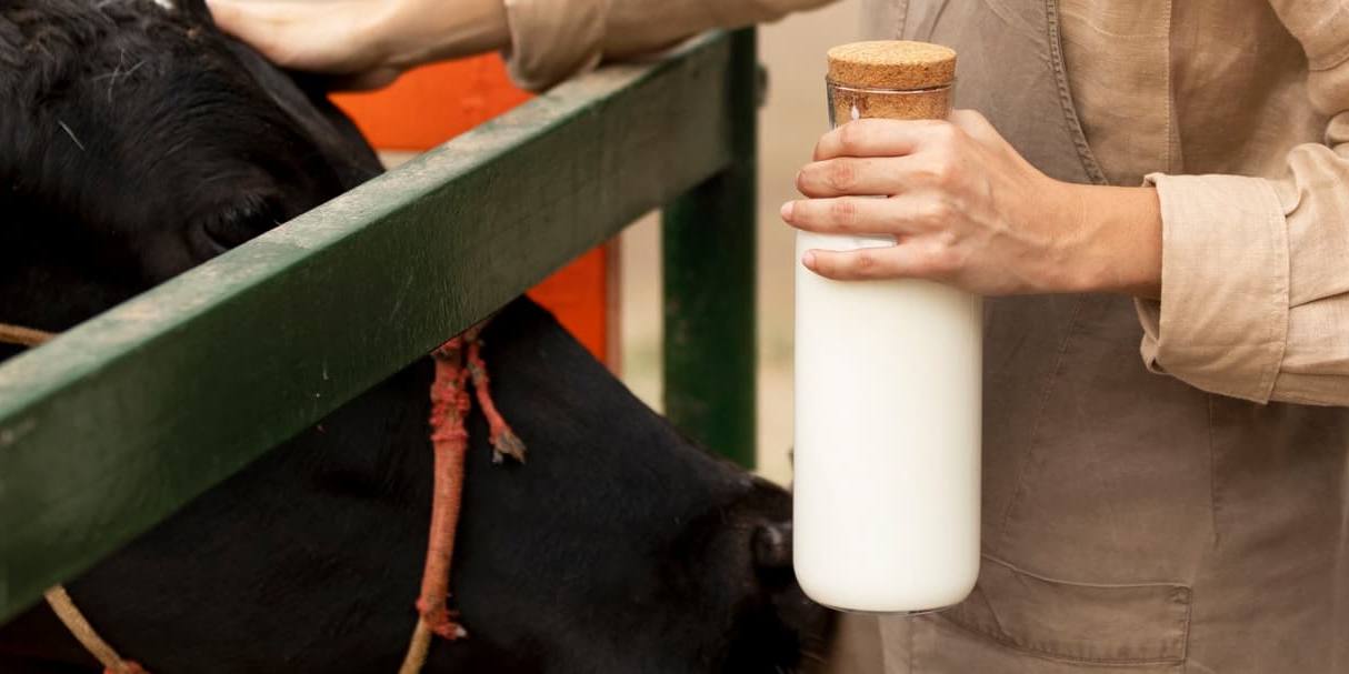 lactalis leche Lactalis recorta su beneficio en la venta de leche y derivados por causa de los costes energéticos.
