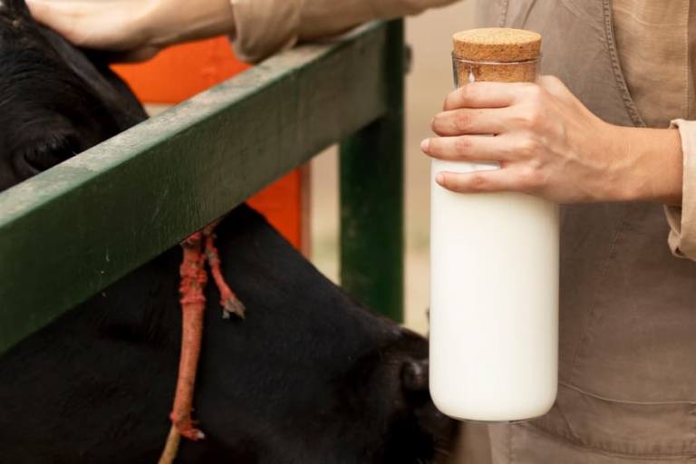 Lactalis recorta su beneficio en la venta de leche y derivados por causa de los costes energéticos.