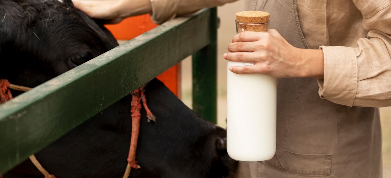 Lactalis recorta su beneficio en la venta de leche y derivados por causa de los costes energéticos.