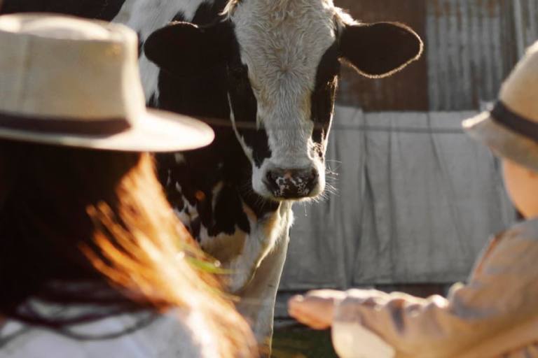 Las visitas a las fábricas de Leche Río y Leyma buscan concienciar sobre el rural gallego.