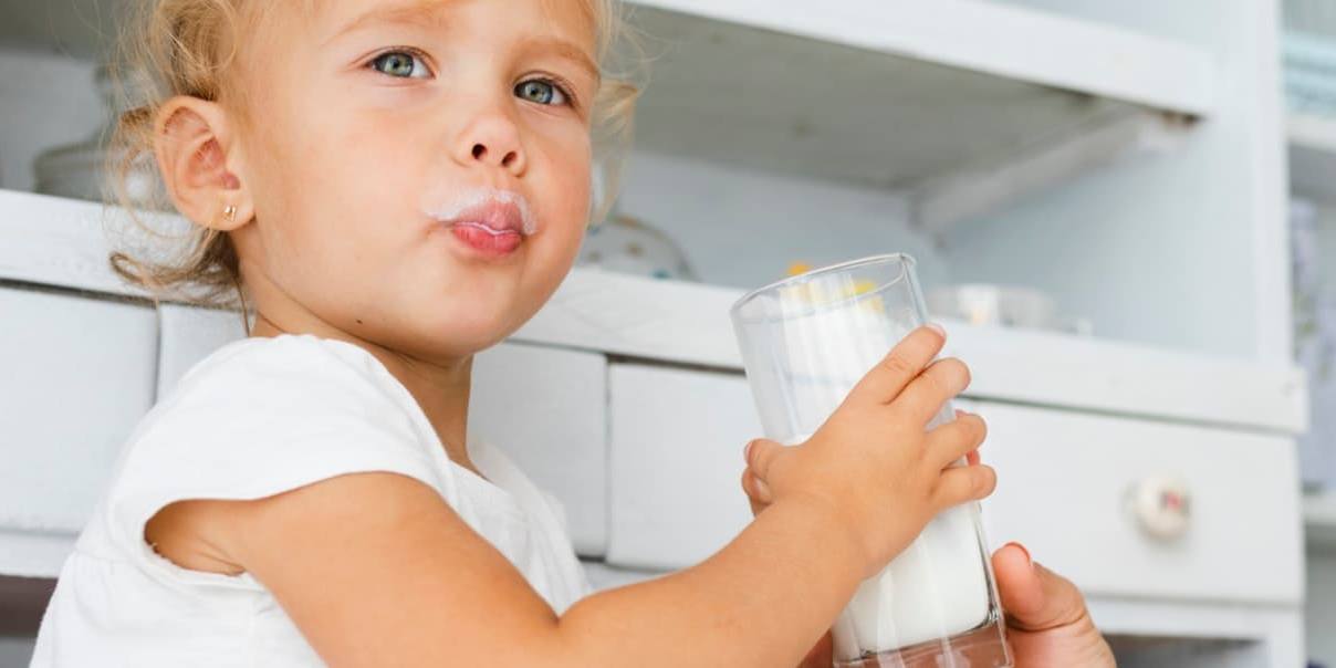 La leche y sus derivados protagonizan la nueva campaña de alimentación en la escuela.