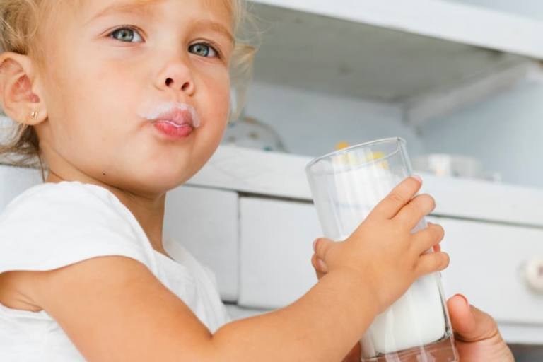 La leche y sus derivados protagonizan la nueva campaña de alimentación en la escuela.