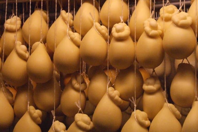 El queso Scamorza no cuenta con una Denominación de Origen Protegida (DOP) específica a nivel de la Unión Europea (UE).