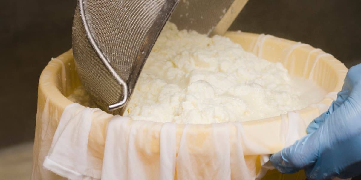 oficina europea de la leche El precio medio de la leche de vaca en origen bajó un 1,3% en la UE en julio respecto al mes de junio del 2023.