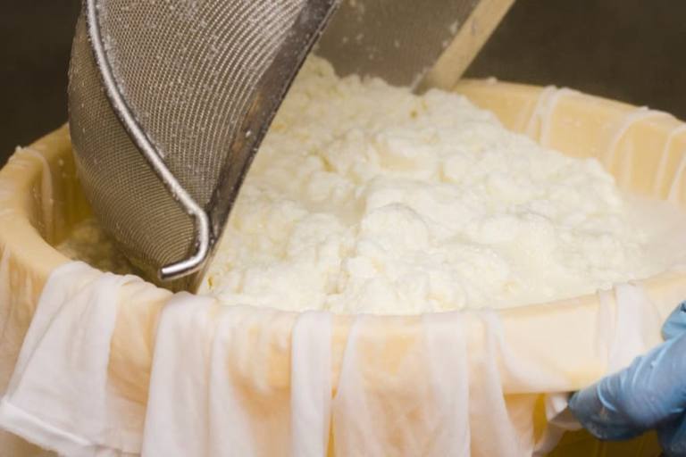 El precio medio de la leche de vaca en origen bajó un 1,3% en la UE en julio respecto al mes de junio del 2023.