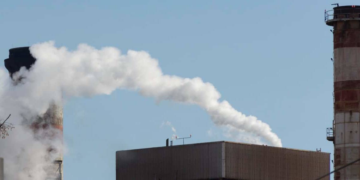 La huella de carbono de la industria láctea se refiere a la cantidad total de emisiones de gases de efecto invernadero (GEI) que se generan a lo largo de todo el ciclo de vida de los productos lácteos.