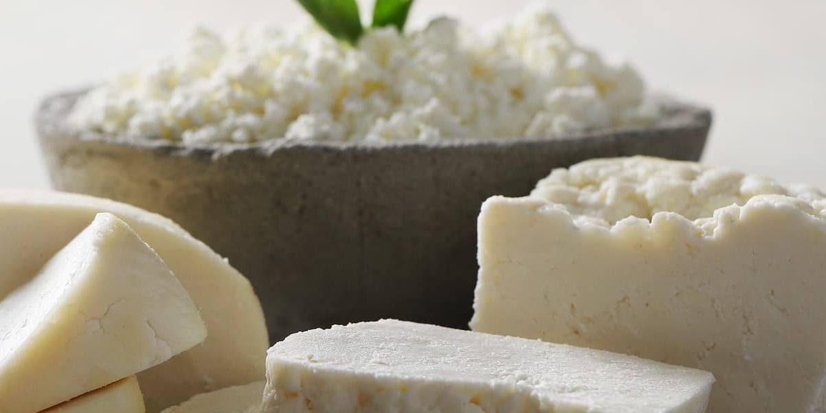 quesos catalanes Los quesos catalanes se distinguen de otros quesos españoles por la su diversidad, variabilidad geográfica y tipo de elaboración.