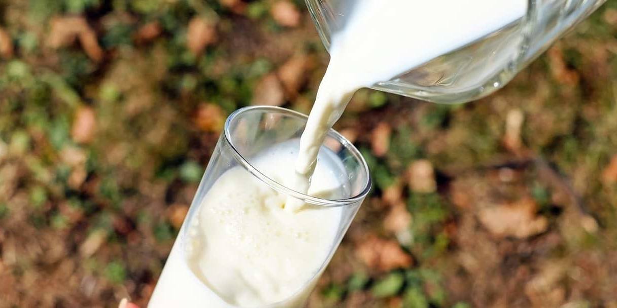 Lence afirma que señalar a su compañía por renovar los contratos lácteos con sus ganaderos a precios más bajos es “verdad a medias”.