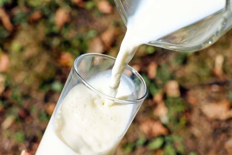 Lence afirma que señalar a su compañía por renovar los contratos lácteos con sus ganaderos a precios más bajos es “verdad a medias”.