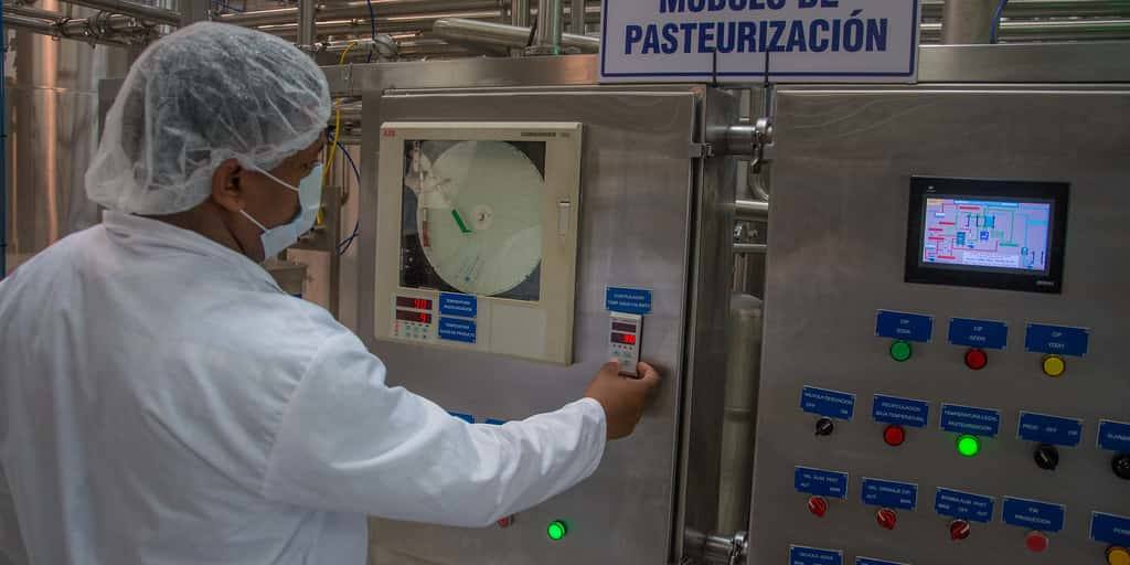Aunque algunas personas creen que la leche cruda conserva mejor sus nutrientes, la pasteurización no afecta significativamente a los valores nutricionales.