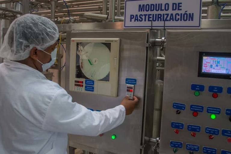 Aunque algunas personas creen que la leche cruda conserva mejor sus nutrientes, la pasteurización no afecta significativamente a los valores nutricionales.