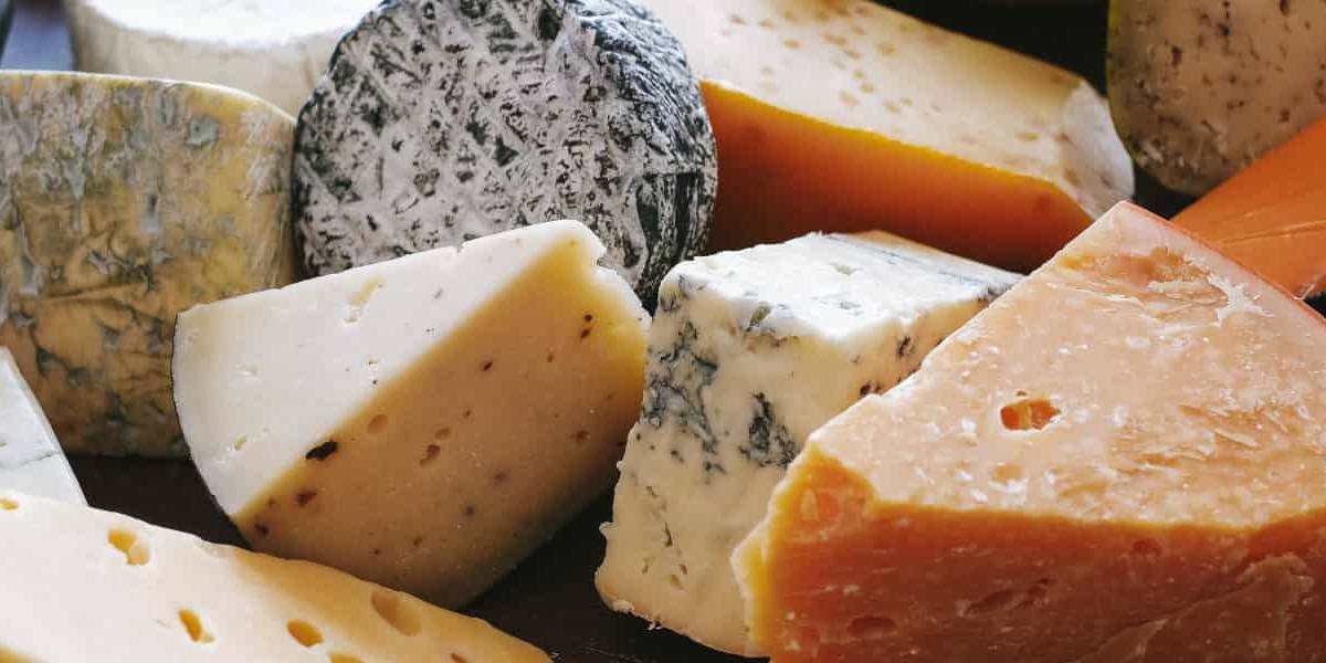 queso DOP El queso Manchego D.O.P. es el rey de los quesos en España, uno de los más exitosos a nivel internacional y con mayor calado popular.
