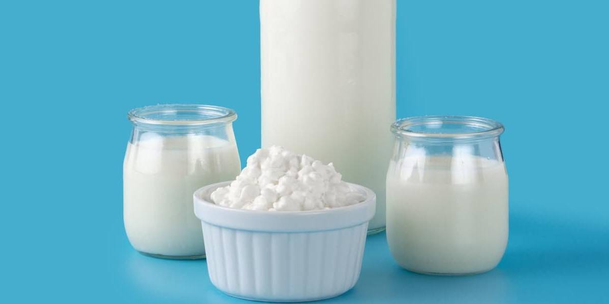 lacteos probióticos Los probióticos ayudan a equilibrar la flora intestinal y a promover un equilibrio saludable de bacterias en el organismo.