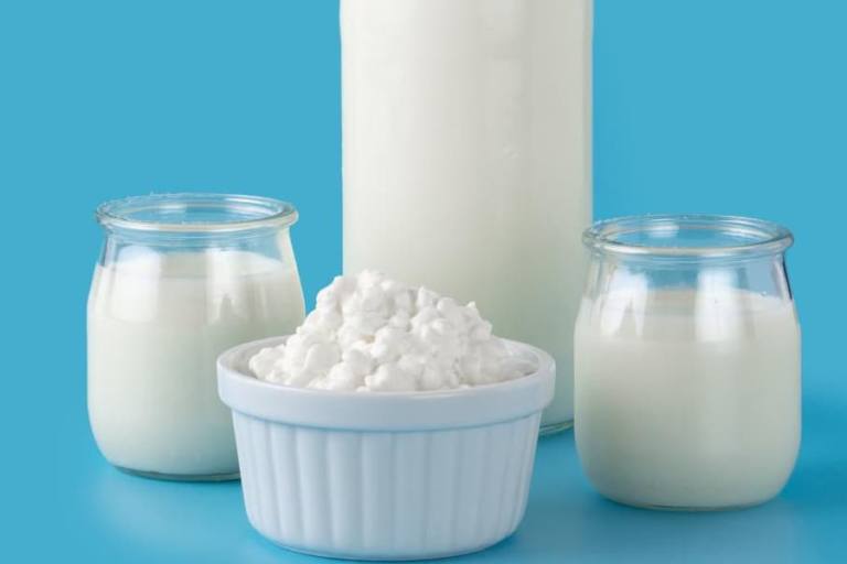 Los probióticos ayudan a equilibrar la flora intestinal y a promover un equilibrio saludable de bacterias en el organismo.