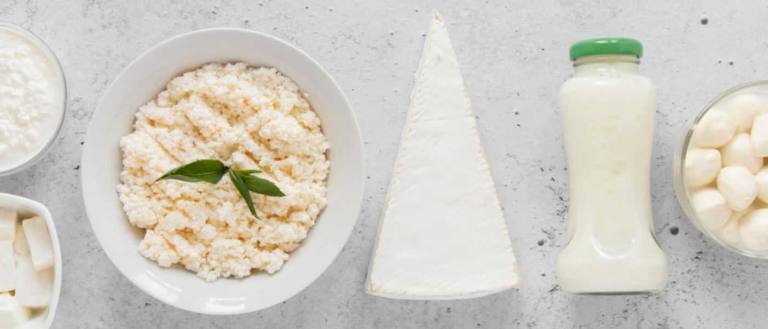 En dietas veganas en las que no hay cabida para los alimentos de origen animal, existen diversas alternativas vegetales para los lácteos convencionales.