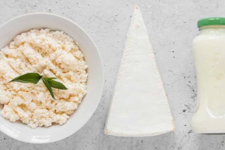 En dietas veganas en las que no hay cabida para los alimentos de origen animal, existen diversas alternativas vegetales para los lácteos convencionales.