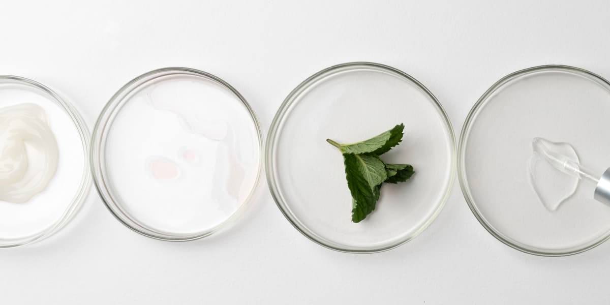 lácteo La investigación y desarrollo en la aplicación de procesos de fermentación avanzados en la fabricación de productos lácteos permite la incorporación de ingredientes funcionales.