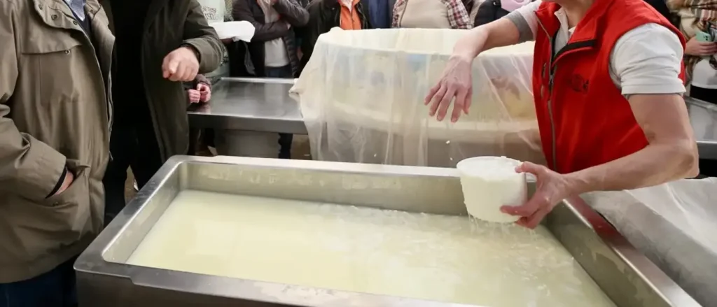 La Granja Cudaña ha batido el récord del queso fresco más grande de España con una pieza de 120 kilos.