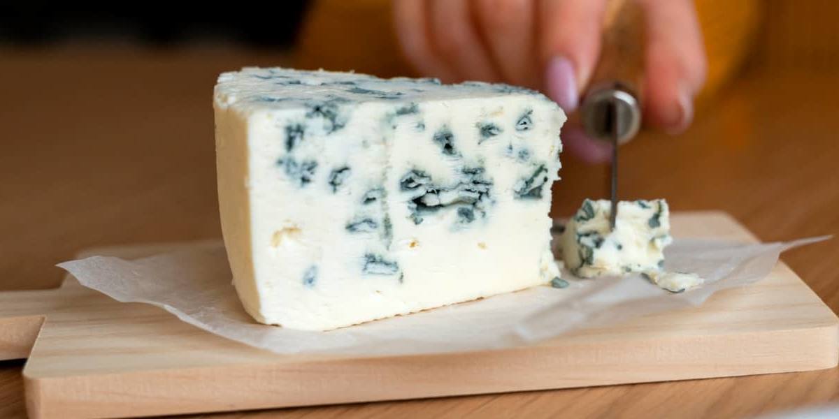 El hongo Penicillium roqueforti se utiliza de manera extendida por todo el mundo para la producción de queso azul.