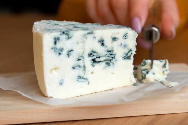 queso azul El hongo Penicillium roqueforti se utiliza de manera extendida por todo el mundo para la producción de queso azul.