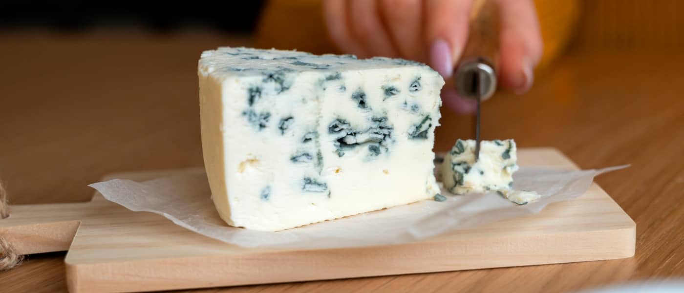 El hongo Penicillium roqueforti se utiliza de manera extendida por todo el mundo para la producción de queso azul.
