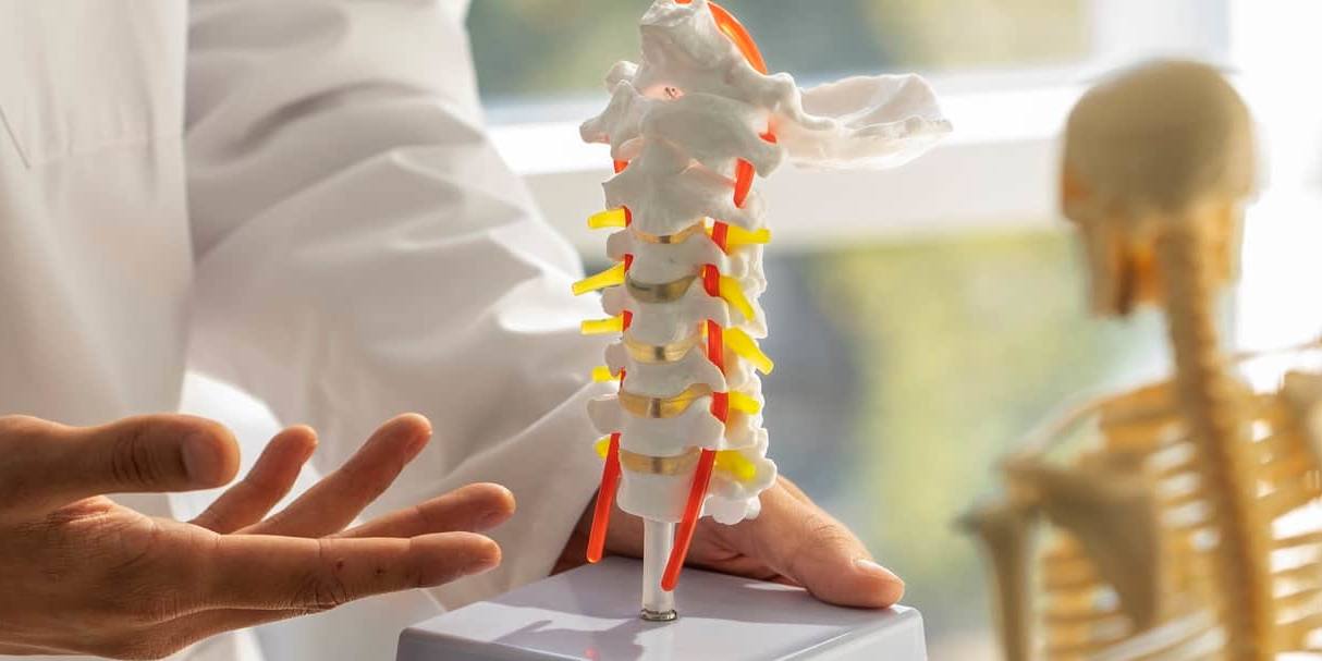 La forma de terapia más común contra la osteoporosis para por la inclusión de una cantidad adecuada de lácteos en la dieta.