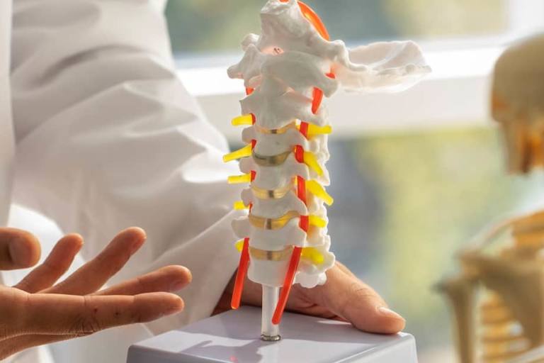 La forma de terapia más común contra la osteoporosis para por la inclusión de una cantidad adecuada de lácteos en la dieta.