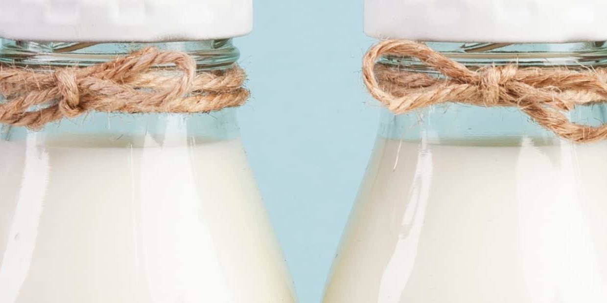 Para contrarrestar esto y recuperar la producción de leche y lácteos A2 A2, los ganaderos han favorecido a las vacas A2.