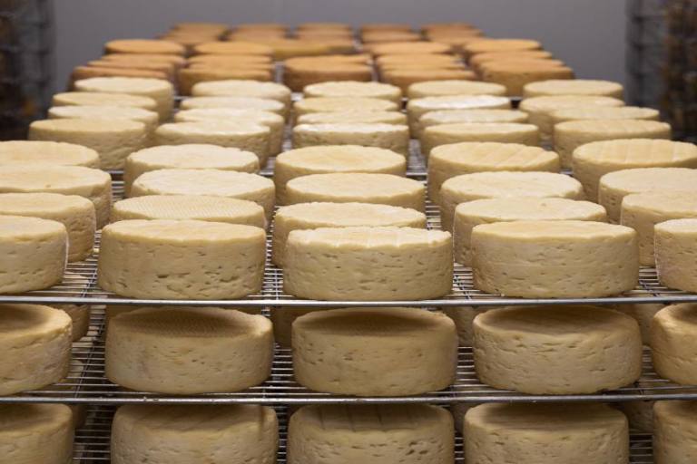 consumo-productos-lacteos-europa