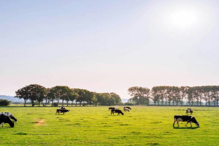 produccion-leche-aumento-espana