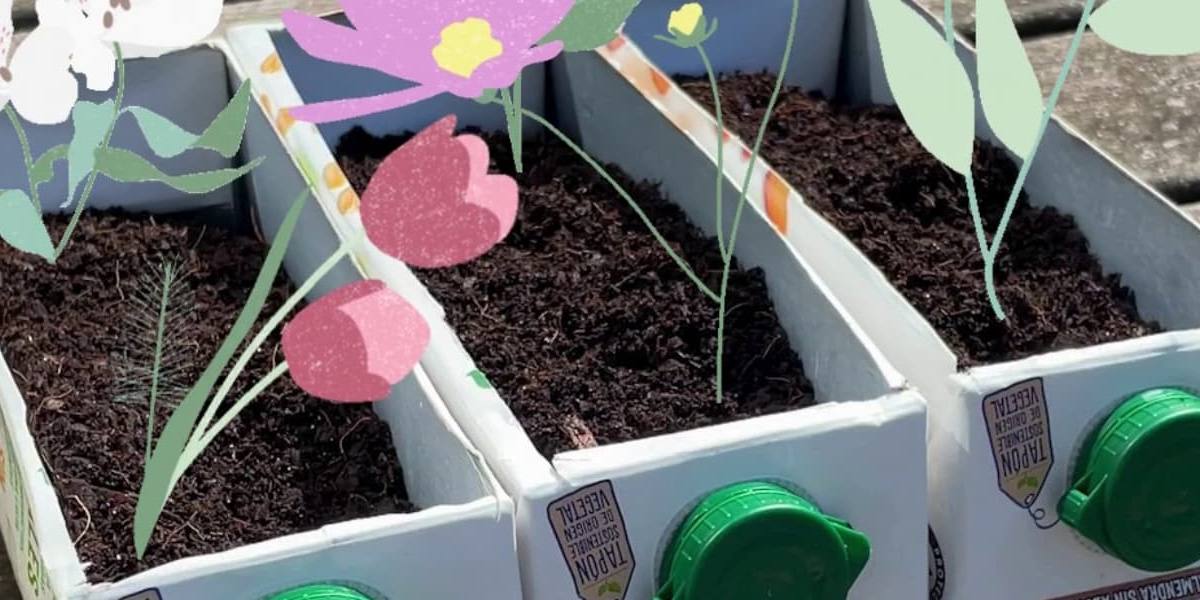 alternativas-creativas-envases-leche-1