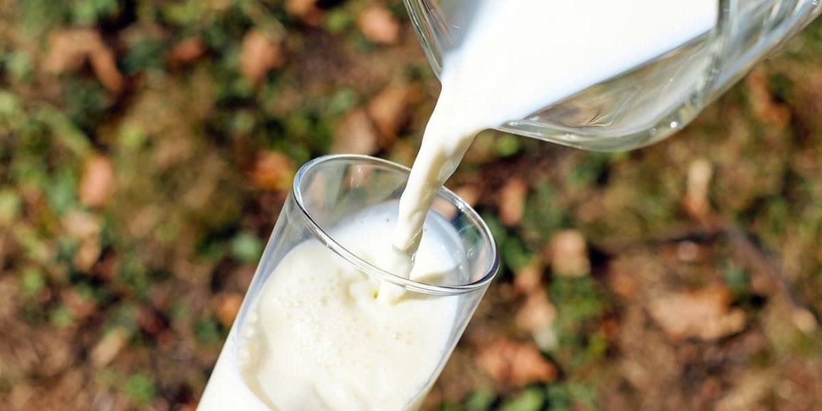 leche-cruda-riesgos-precauciones leche cruda: cuáles son sus riesgos y precauciones