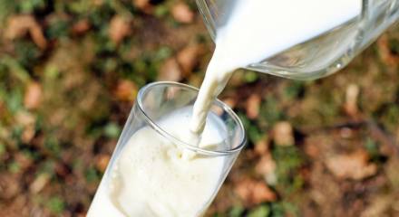 leche cruda: cuáles son sus riesgos y precauciones