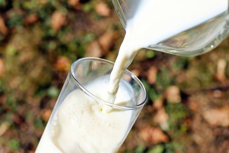 leche cruda: cuáles son sus riesgos y precauciones
