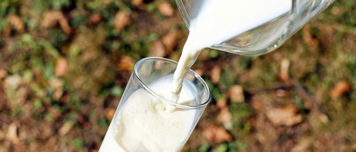 leche cruda: cuáles son sus riesgos y precauciones