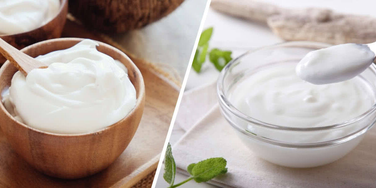 diferencias yogur y leche fermentada