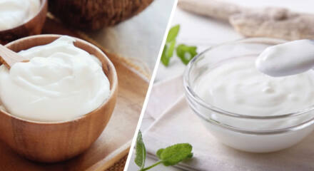 diferencias yogur y leche fermentada
