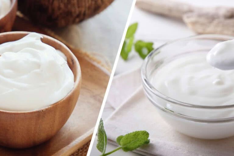 Diferencias yogur y leche fermentada diferencias yogur y leche fermentada