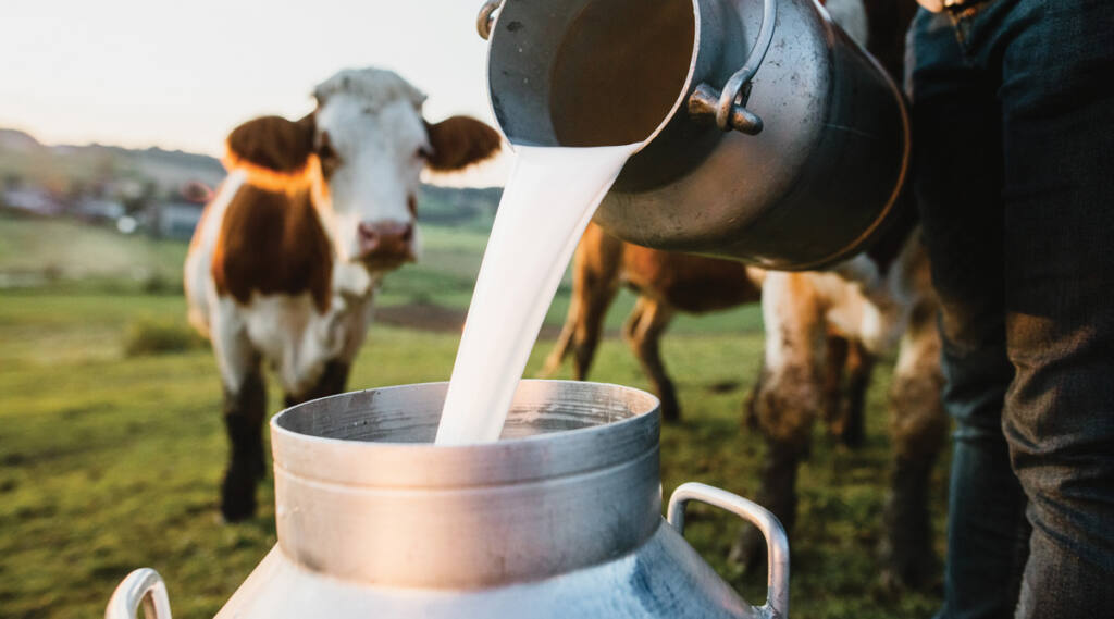 ¿Qué es la leche cruda? Todo lo que debes saber sobre este polémico alimento ¿Qué es la leche cruda? Todo lo que debes saber sobre este polémico alimento