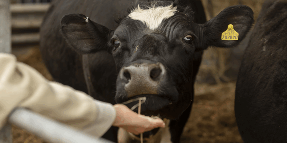 Captura de pantalla (62)