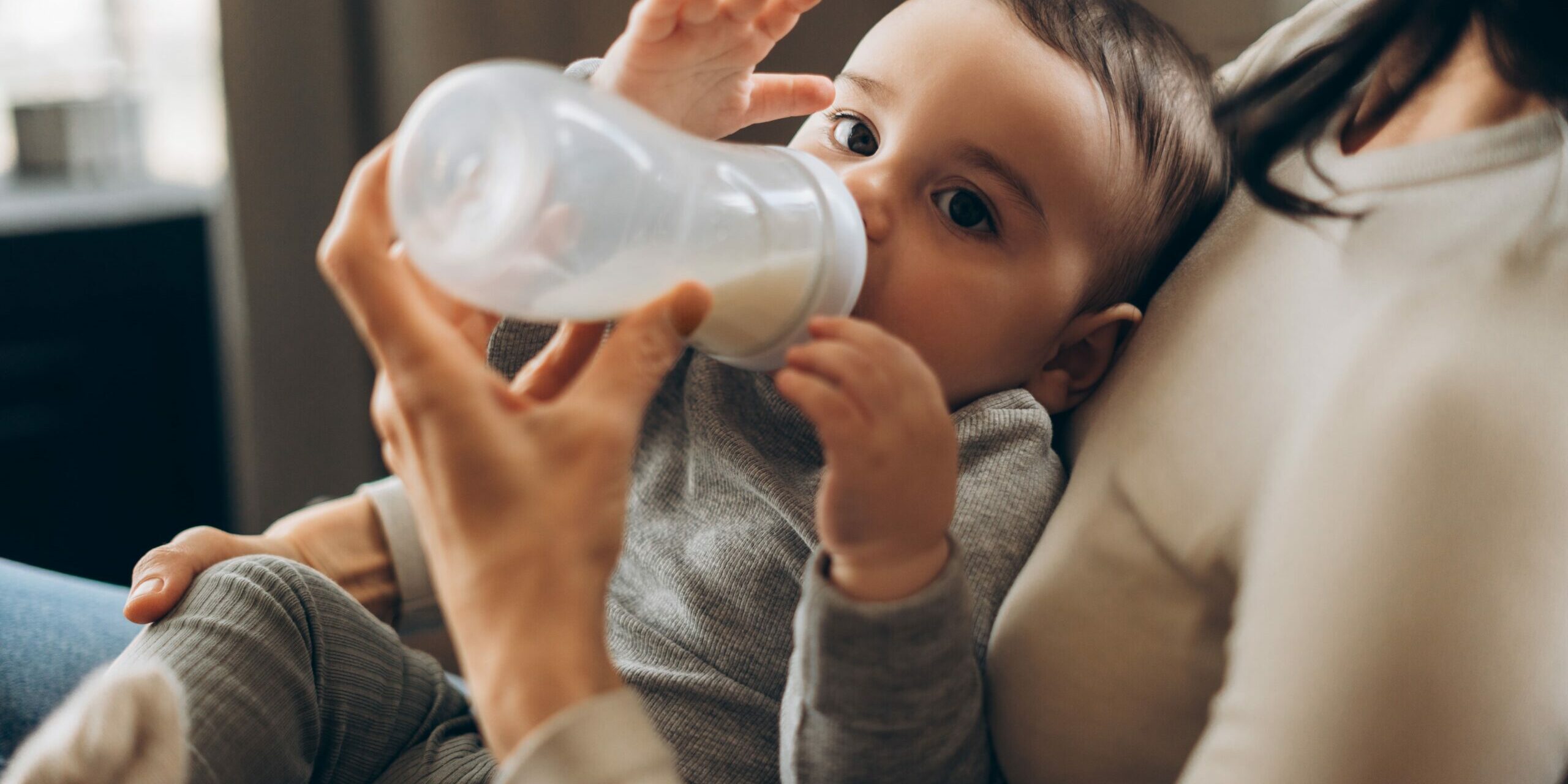 shutterstock_2633711865 (1)