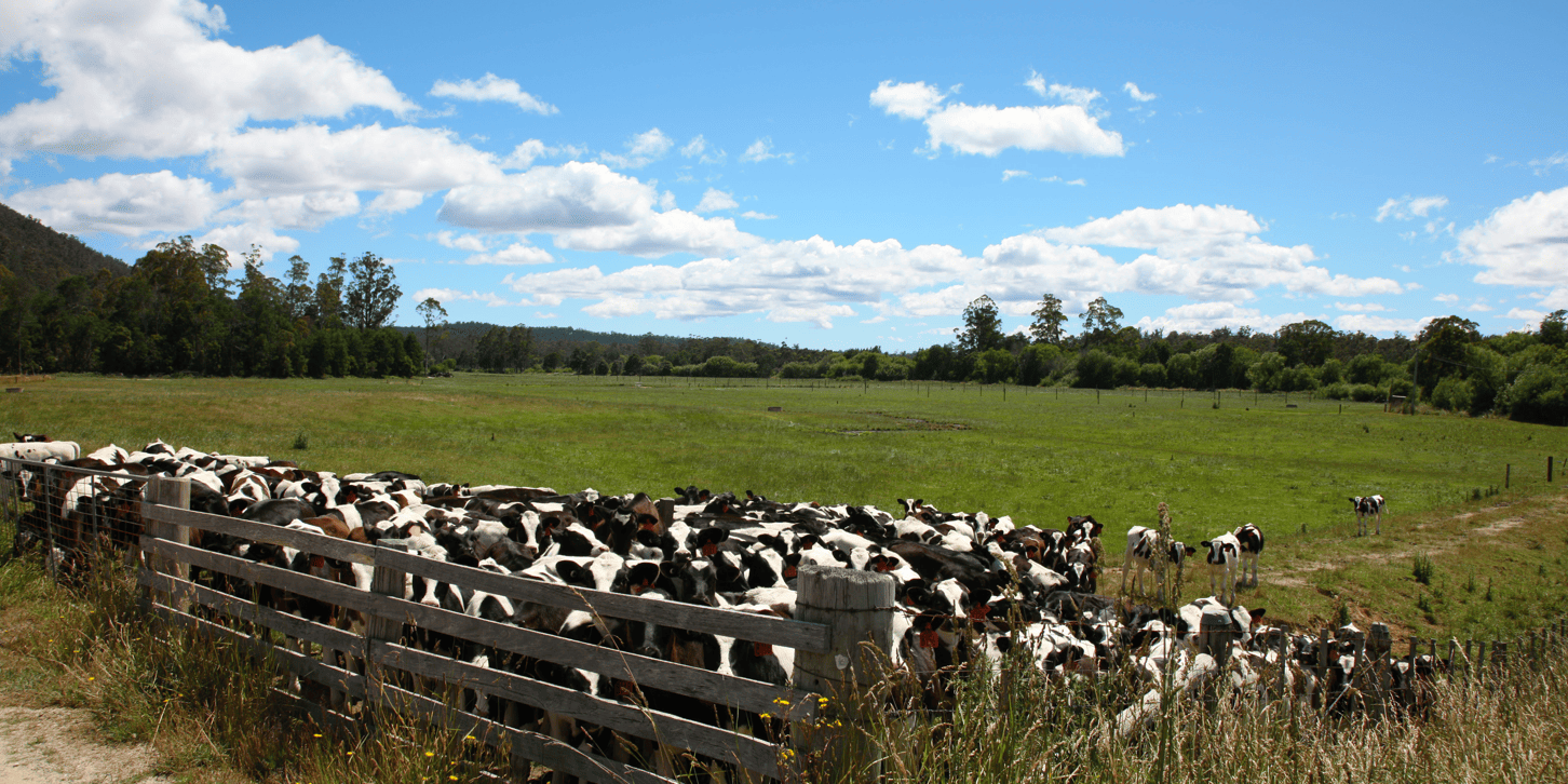 Captura de pantalla (266)