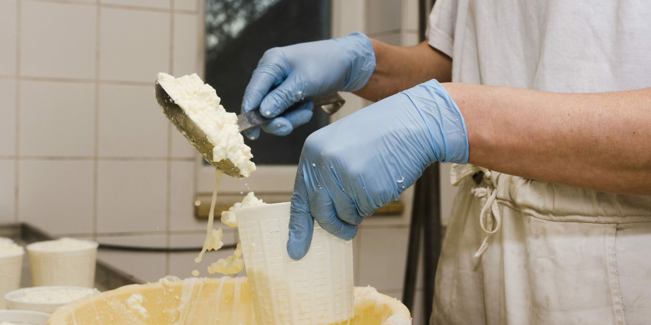 person-preparing-new-type-cheese (1)