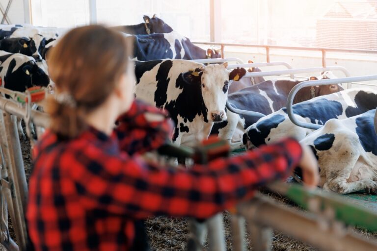 Agriculture,Farming,Livestock,Cattle,Industry.,Happy,Smiling,Young,Woman,Farmer