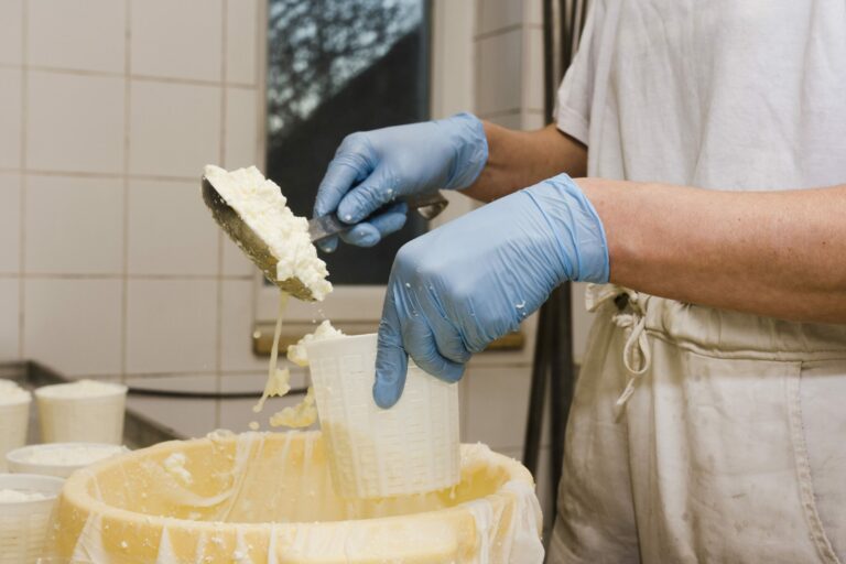 person-preparing-new-type-cheese (1)