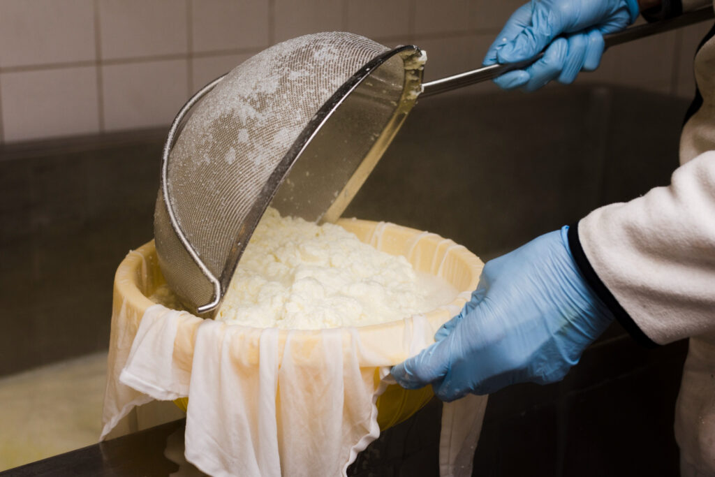 Cuajada del queso y elaboración