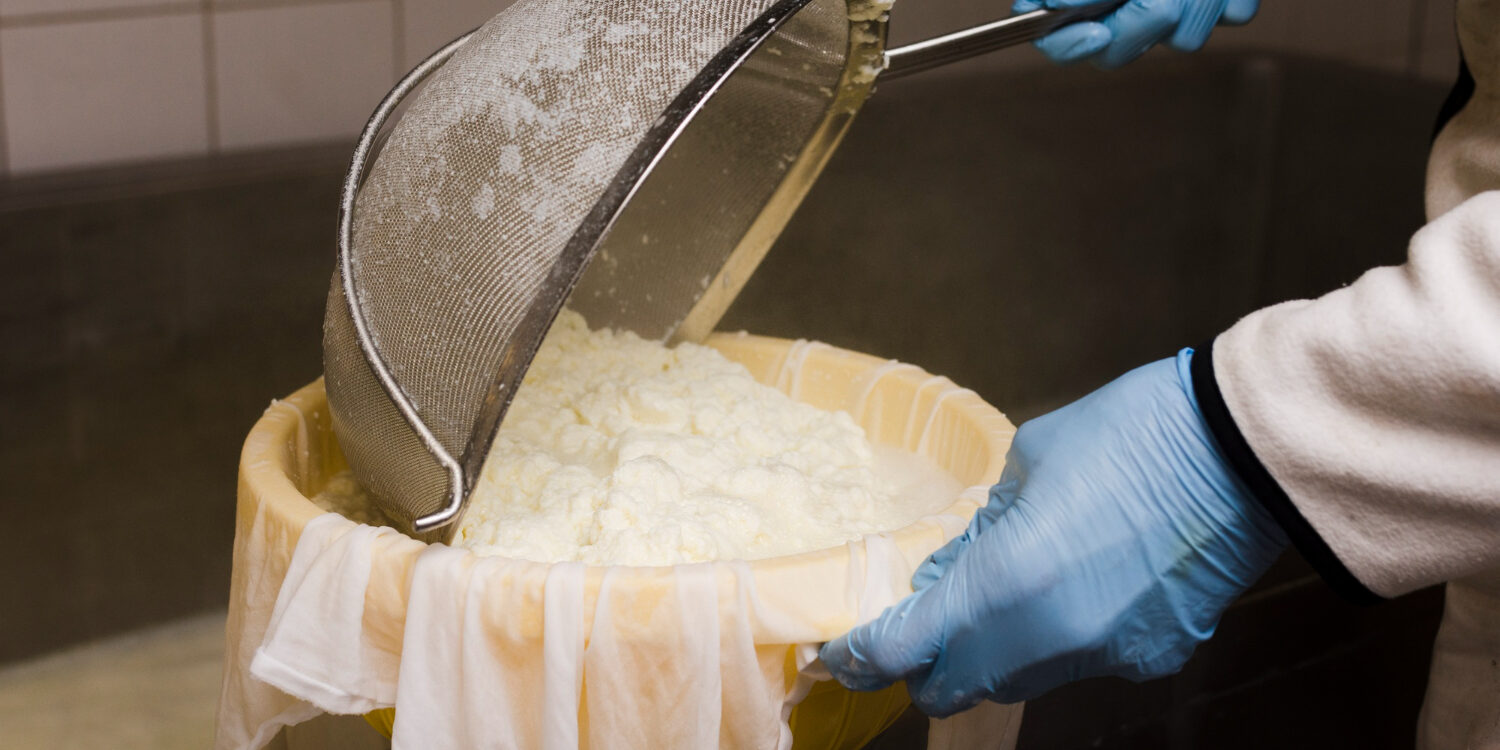 Cuajada del queso y elaboración