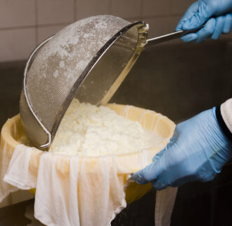 Cuajada del queso y elaboración